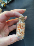 Chip Jars