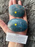Apatite Palmstone