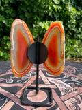 Orange Banded Agate Butterfly on Stand