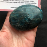 Apatite Palmstone